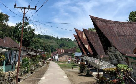 WhatsApp Image 2024-07-14 at 16.44.49